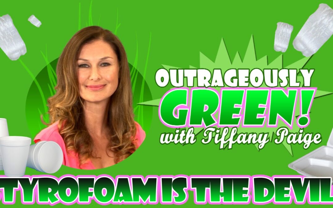 Outrageously Green – Styrofoam is the Devil