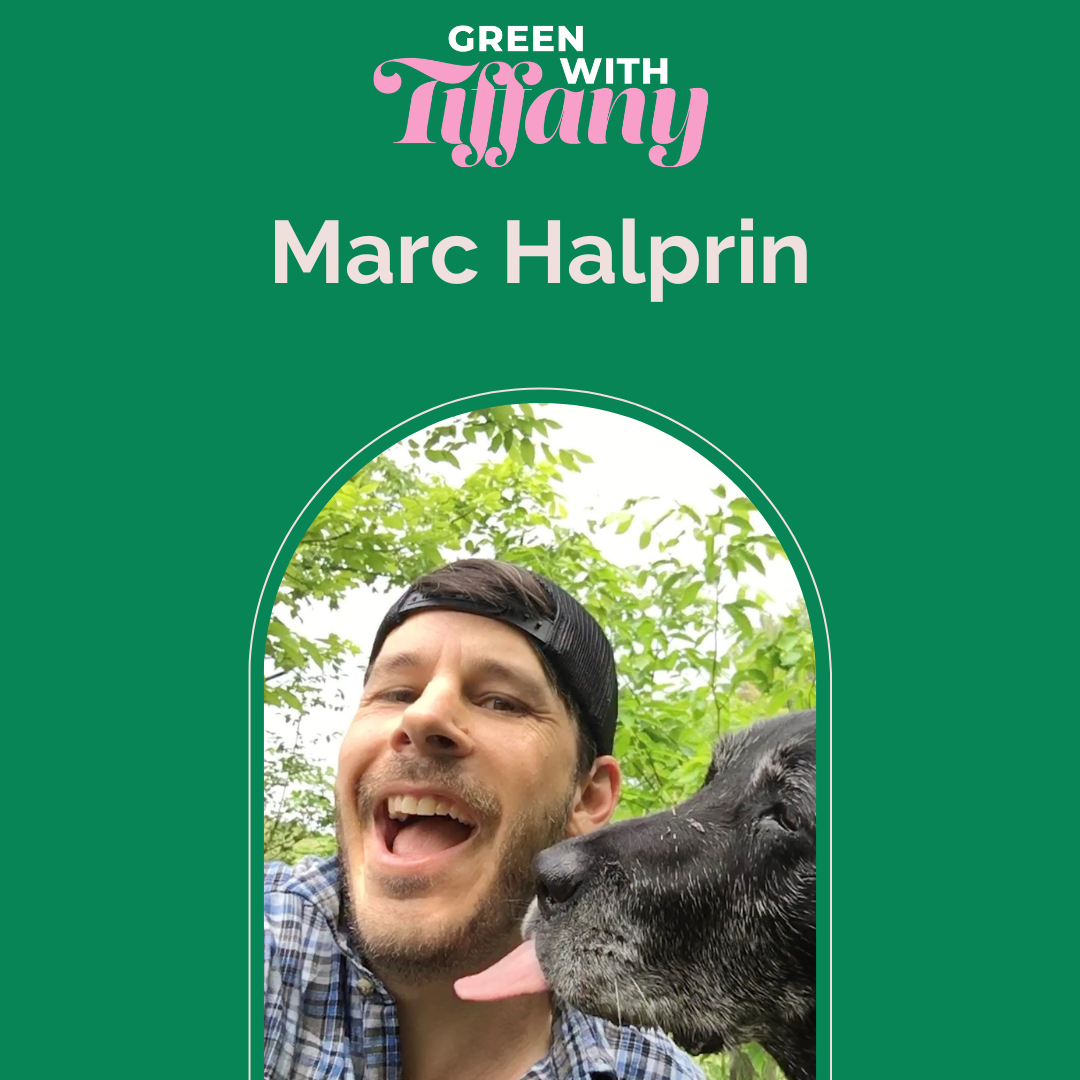 Marc Halprin, Co-Founder of Dr Hempdog