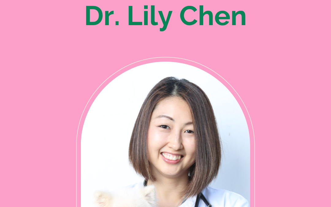 Dr. Lily Chen, DVM, CVA